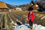 Highlight for Album: Shirakawago